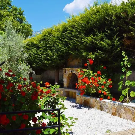 Rose Oludeniz *